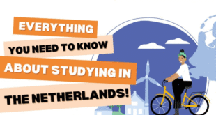 Why Study in the Netherlands?